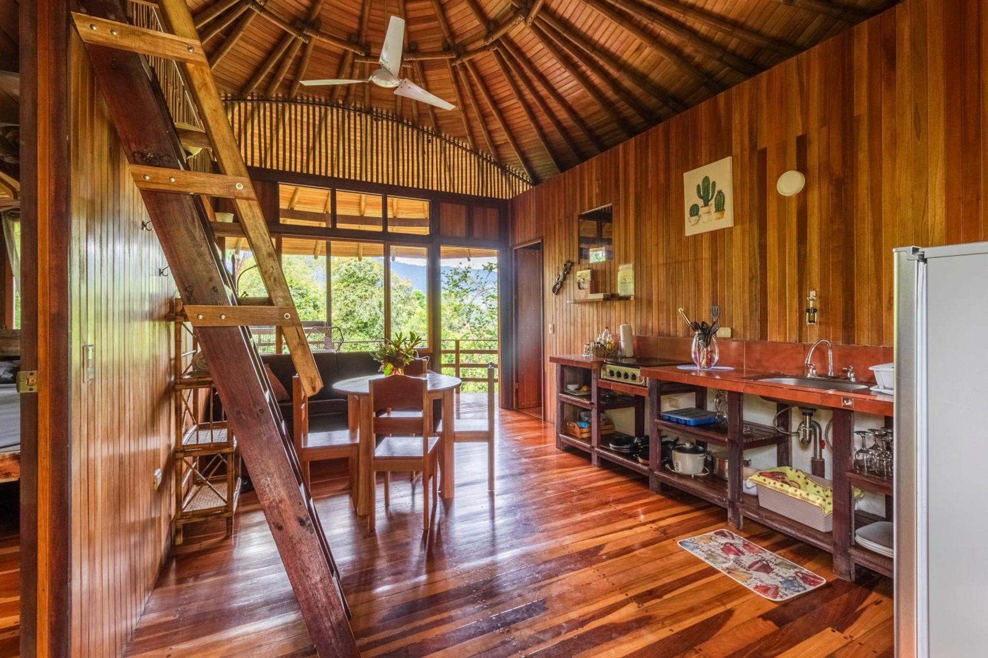 Paradiselodge Jungleguesthouse Platanillo ภายนอก รูปภาพ